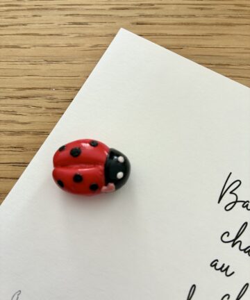 Aimant "Coccinelle"