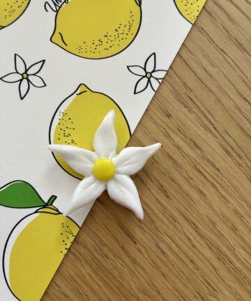 Aimant "Fleur de citronnier"